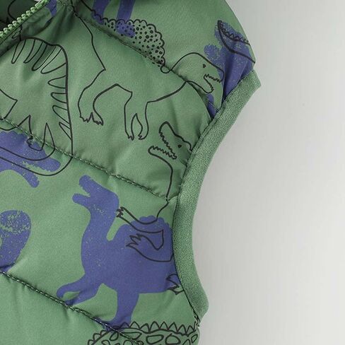 LABISHU Toddler Boys Winter Jacket Dinosaur Down Alternative Vest Sleeveless Hoodie Coats Kids Zipper Puffer Outwear in Saudi Arabia