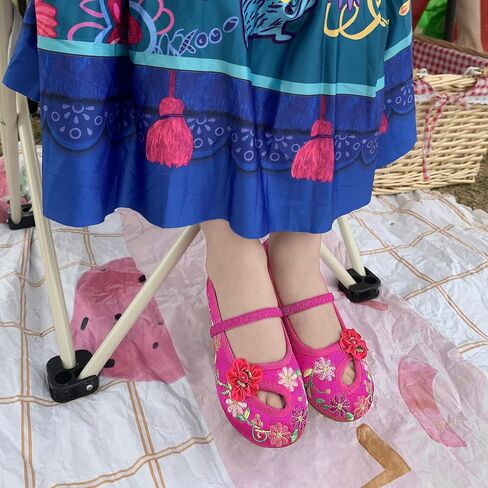 Encanto Mirabel Isabela Shoes for Girls Costume Cosplay Dress Up Embroidery Mary-Jane Ballet Shoes Purple in Kuwait