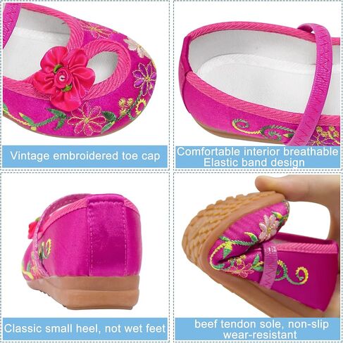 Encanto Mirabel Isabela Shoes for Girls Costume Cosplay Dress Up Embroidery Mary-Jane Ballet Shoes Purple in Kuwait