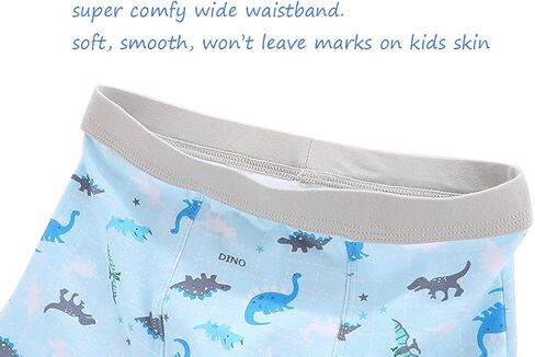 CHUNG Toddler Little Boys Underwear Soft Modal+ Cotton Boxer Briefs Pack of 4/5/10 Dinosaur 2-9Y in Kuwait