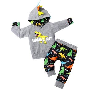 BAVADER Toddler Boy Clothes 12M-6T Toddler Clothes for Boys Dinosaur Hoodie Pant Sets Toddler Boy Spring Fall Winter Clothes