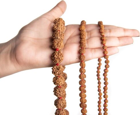 قلادة Rudraksha Mala 5face (Panchmukhi) المعتمدة من Wonder Care، خرز Rudraksha الأصلي الأصلي، مسبحة جابا مالا، قلادة بوجا | مسبحة الصلاة | حبات التأمل in Kuwait
