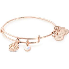 سوار سلكي قابل للتوسيع من Alex and Ani Tokens للنساء، سحر مزدوج بطباعة مخالب، لمسة نهائية لامعة، من 2 إلى 3.5 بوصة in Kuwait