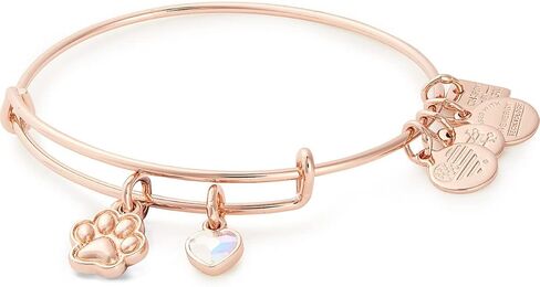 سوار سلكي قابل للتوسيع من Alex and Ani Tokens للنساء، سحر مزدوج بطباعة مخالب، لمسة نهائية لامعة، من 2 إلى 3.5 بوصة in Kuwait