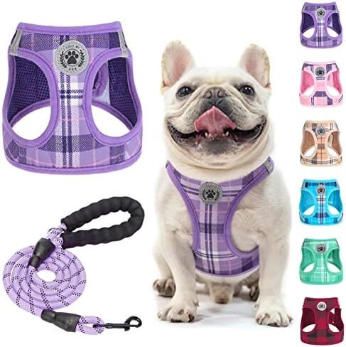 BEAUTYZOO Small Dog Harness and Leash Set, No Pull Puppy Pet Vest- Beige, S in Saudi Arabia