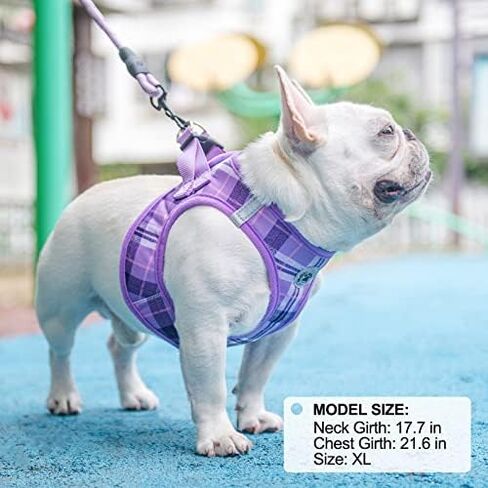 BEAUTYZOO Small Dog Harness and Leash Set, No Pull Puppy Pet Vest- Beige, S in Saudi Arabia