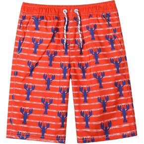 LIZENS Boys Swim Trunks UPF 50+ Quick Dry Beach Bathing Suit Toddler Swimsuit Swimwear