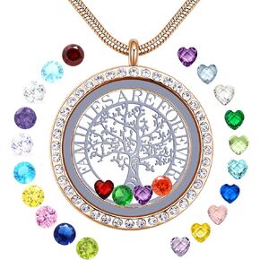 قلادة GOKING Family Are Forever Family Tree of Life العائمة مع 24 حجر ميلاد، قلادة دائرية 30 مم من الفولاذ المقاوم للصدأ لذاكرة المعيشة مع صندوق هدايا جميل in Kuwait