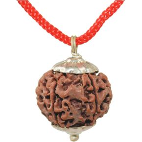 IS4A 100% Original & Natural Rudraksha Pendant (Locket) Silver Pendant in Saudi Arabia