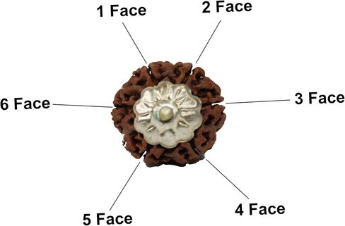 IS4A 100% Original & Natural Rudraksha Pendant (Locket) Silver Pendant in Kuwait