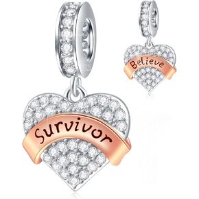 GEMDAZZ Family Theme Charm, 925 Sterling Silver Mother Father Daughter Son Sister Nana Wife Husband Grandma Friend Godmother Goddaughter Clear Pave Heart Pendant Beads, fit European Women Bracelet