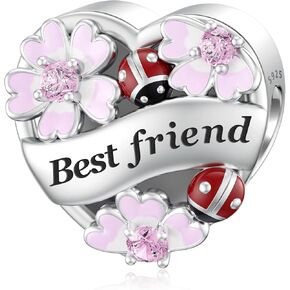 JIAYIQI Heart Love Charms for Mom Grandma Daughter Sister Friend Wife fit Pandora Bracelet 925 Sterling Silver Daisy Ladybug Charm Bead Valentine's Day Mother's Day Birthday Christmas Gift Jewelry for Women