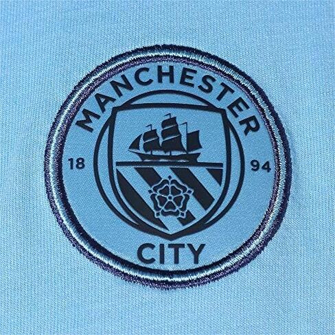 PUMA Men's Manchester City F.c. Evostripe Tee in Saudi Arabia