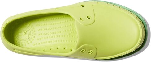 Native Shoes Kids Howard Sugarlite Sneakers for Little Kid - Synthetic Upper with Perforated Design, Slip-On Style, and Deck Silhouette in Kuwait