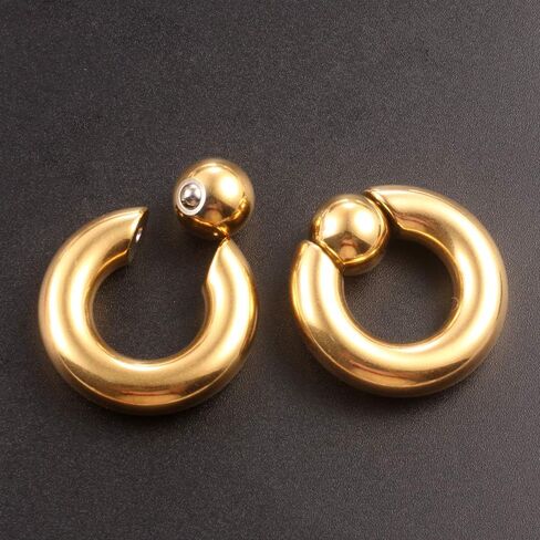 Casvort 2 PCS 316 Stainless Steel Piercing Captive Hoop Rings Tragus Ear Tunnels Ear Hanger Weight Ear Gauges Body Jewelry 2g-00g in Saudi Arabia
