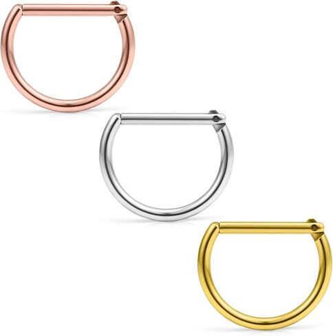 Ruifan 316L Stainless Steel D Shaped Hinged Seamless Segment Hoop Septum Clicker Ring Lip Helix Tragus Cartilage Earrings Nose Rings Pirecing 16g 10mm in Kuwait