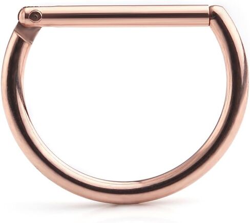 Ruifan 316L Stainless Steel D Shaped Hinged Seamless Segment Hoop Septum Clicker Ring Lip Helix Tragus Cartilage Earrings Nose Rings Pirecing 16g 10mm in Kuwait