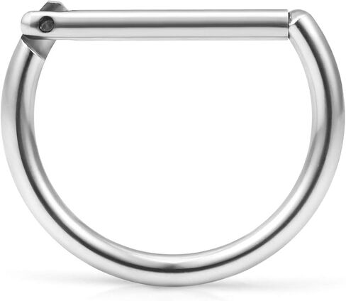 Ruifan 316L Stainless Steel D Shaped Hinged Seamless Segment Hoop Septum Clicker Ring Lip Helix Tragus Cartilage Earrings Nose Rings Pirecing 16g 10mm in Kuwait