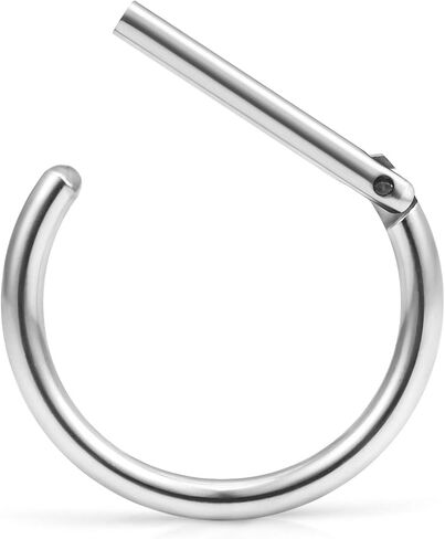 Ruifan 316L Stainless Steel D Shaped Hinged Seamless Segment Hoop Septum Clicker Ring Lip Helix Tragus Cartilage Earrings Nose Rings Pirecing 16g 10mm in Kuwait