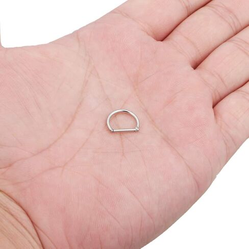 Ruifan 316L Stainless Steel D Shaped Hinged Seamless Segment Hoop Septum Clicker Ring Lip Helix Tragus Cartilage Earrings Nose Rings Pirecing 16g 10mm in Kuwait