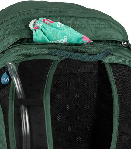 حقيبة ظهر Osprey Skarab 30L للمشي لمسافات طويلة للرجال مع خزان هيدروليكي، تندرا جرين، مقاس واحد in Kuwait