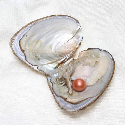 Freshwater Cultured Oysters with Pearl Inside Love Wish and Lucky Mixed Five Colors Round Pearls 50PC (7-8mm) in Saudi Arabia