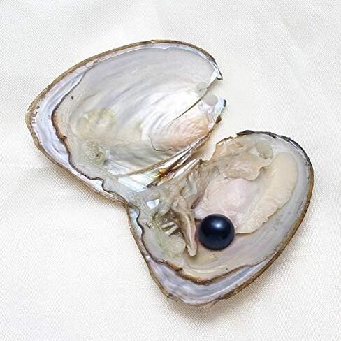Freshwater Cultured Oysters with Pearl Inside Love Wish and Lucky Mixed Five Colors Round Pearls 50PC (7-8mm) in Saudi Arabia