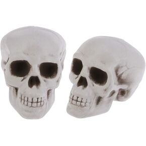 Amosfun Halloween Bar Skull Plastic Skull 1PC Halloween Skeletons Plastic Realistic Human Skull Head Bone Model Ghost House Props Halloween Party Supplies Human Skull Mini Skulls