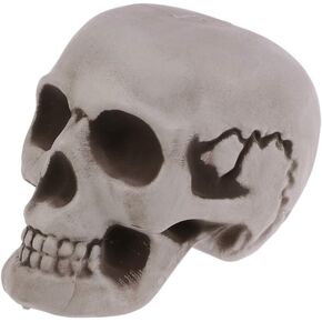 Amosfun Halloween Bar Skull Plastic Skull 1PC Halloween Skeletons Plastic Realistic Human Skull Head Bone Model Ghost House Props Halloween Party Supplies Human Skull Mini Skulls