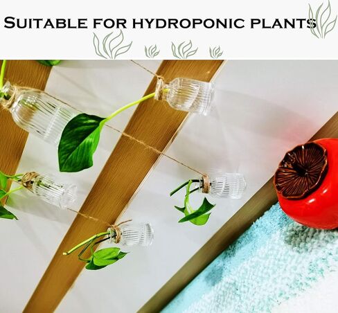 عبوة من 6 زجاجات صغيرة شفافة مع سدادة فلين، زجاجات تخزين صغيرة مزخرفة لبرطمانات توابل بوردر للصوص بالحاوية المائية، زجاجة زيوت عطرية بخاصية إطلاق الروائح العلاجية (50 مل) in Kuwait