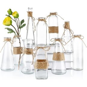 Glass Bud Vase, Decorative Glass Bottle with Rope Net, Different Shapes for Wedding Centerpiece, Party, Home Decor, Set of 10