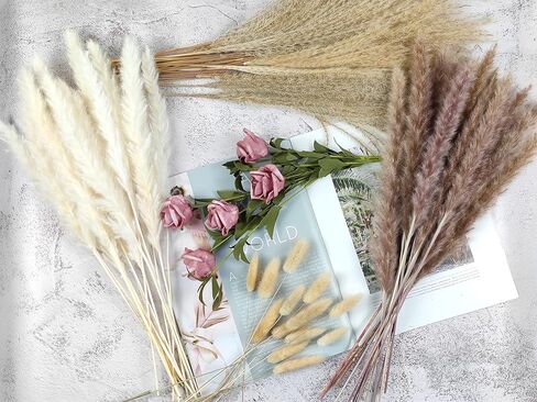 ديكور منزلي من بامباس جراس بوهو، عشب بومباس طبيعي مجفف منتقى بعناية بعناية مقاس 43.18 سم، أبيض وبني، عشب بامباس، قصب، ذيول أرنب لترتيبات الزهور، ديكور منزلي لحفلات الزفاف بوهو in Kuwait