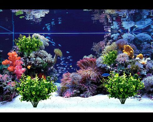 TEMCHY نباتات صناعية زهور شجيرات خشب البقس الصناعي 6 عبوات، أوراق شجر خضراء وهمية نابضة بالحياة مع 42 سيقان للحديقة وساحة الفناء والزفاف والمكاتب والمزرعة ديكور داخلي وخارجي in Kuwait