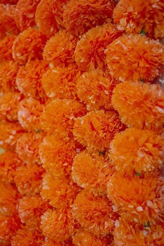 Krati Exports 5 قطع - إكليل القطيفة بطول 5 أقدام | ديكور عباءة حفل الزفاف الهندي/الأمريكي، إكليل الزفاف الصناعي، ديكور الديوالي، زهور الربيع بوش! (البرتقالي) in Kuwait