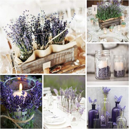 Dried Lavender Flowers Bundle - 6 Bunches Dried Lavender, Ideal Home Fragrance Products for Wedding, Party, Photography, Flower Arrangements & DIY Projects,16 Inches Long in Kuwait