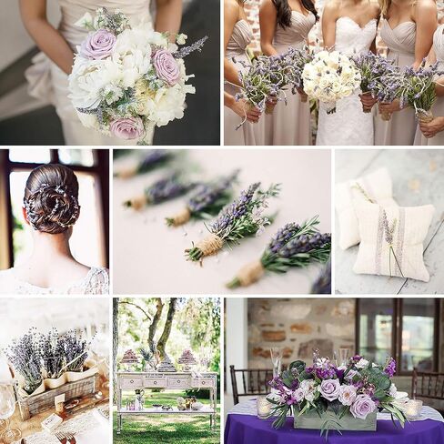 Dried Lavender Flowers Bundle - 6 Bunches Dried Lavender, Ideal Home Fragrance Products for Wedding, Party, Photography, Flower Arrangements & DIY Projects,16 Inches Long in Kuwait