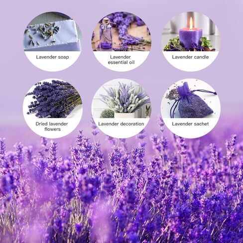 Dried Lavender Flowers Bundle - 6 Bunches Dried Lavender, Ideal Home Fragrance Products for Wedding, Party, Photography, Flower Arrangements & DIY Projects,16 Inches Long in Kuwait