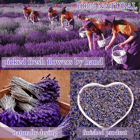 9 Bags Dried Flowers,100% Natural Dried Flowers Herbs Kit for Soap Making, DIY Candle Making,Bath - Include Rose Petals,Lavender,Don't Forget Me,Lilium,Jasmine,Rosebudsand More in Saudi Arabia