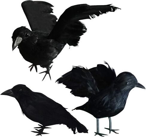FUNPENY Halloween الغربان ذات الريش الأسود، طيور زينة الهالوين Lifelik مع ريش حقيقي (6 عبوات) in Kuwait