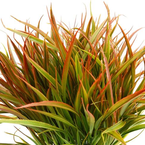 DVGUN 8 Bundles Artificial Grass Plants Fake Bushes Artificial Shrubs Wheat Grass Greenery for Autumn House Plastic Outdoor UV Resistant Faux Grass in Kuwait