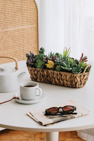 miltonson Artificial Succulent Plants - 18 Pack - Premium Fake Plants - Double Flocked Succulents - Realistic Textured Cactus - Face Succulent Plants - Mini Faux Succulents - Face Plant Decor in Saudi Arabia