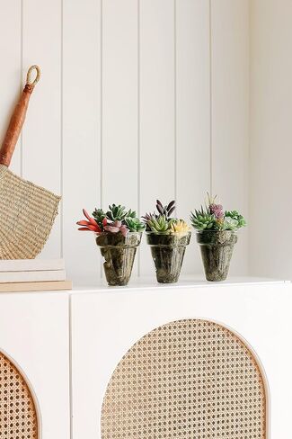 miltonson Artificial Succulent Plants - 18 Pack - Premium Fake Plants - Double Flocked Succulents - Realistic Textured Cactus - Face Succulent Plants - Mini Faux Succulents - Face Plant Decor in Saudi Arabia