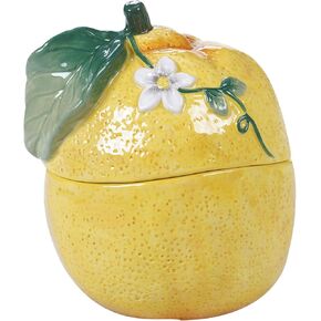 وعاء ليمون ثلاثي الأبعاد من سيترون من سيرتيفايد إنترناشونال، 532 مل، 13.97 سم × 12.7 سم × 15.24 سم، متعدد الألوان in Kuwait