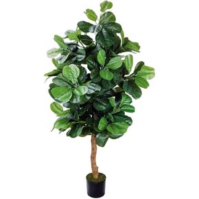 PLINJOY شجرة الكمان الاصطناعية شجرة التين بطول 6 أقدام في الأماكن المغلقة شجرة وهمية اصطناعية ديكورات غراندز وهمية شجرة اللبخ ليراتا للمنزل والمكتب وغرفة المعيشة ديكور داخلي وخارجي (6أقدام) in Kuwait