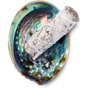 مجموعة التلطيخ من اوريجينز - عصا تلطيخ المريمية البيضاء + وعاء صدف أذن البحر | بخور علاجي من مصادر مستدامة لتنظيف المنزل والحماية والتامل والطاقة الإيجابية in Kuwait