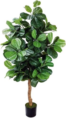 PLINJOY شجرة الكمان الاصطناعية شجرة التين بطول 6 أقدام في الأماكن المغلقة شجرة وهمية اصطناعية ديكورات غراندز وهمية شجرة اللبخ ليراتا للمنزل والمكتب وغرفة المعيشة ديكور داخلي وخارجي (6أقدام) in Kuwait