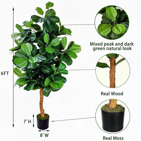 PLINJOY شجرة الكمان الاصطناعية شجرة التين بطول 6 أقدام في الأماكن المغلقة شجرة وهمية اصطناعية ديكورات غراندز وهمية شجرة اللبخ ليراتا للمنزل والمكتب وغرفة المعيشة ديكور داخلي وخارجي (6أقدام) in Kuwait