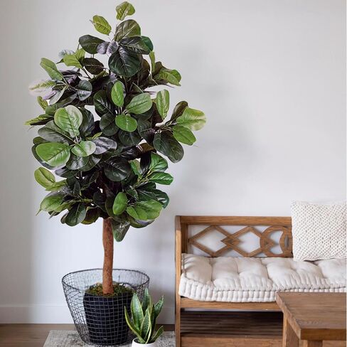 PLINJOY شجرة الكمان الاصطناعية شجرة التين بطول 6 أقدام في الأماكن المغلقة شجرة وهمية اصطناعية ديكورات غراندز وهمية شجرة اللبخ ليراتا للمنزل والمكتب وغرفة المعيشة ديكور داخلي وخارجي (6أقدام) in Kuwait