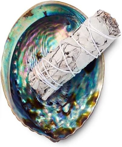 مجموعة التلطيخ من اوريجينز - عصا تلطيخ المريمية البيضاء + وعاء صدف أذن البحر | بخور علاجي من مصادر مستدامة لتنظيف المنزل والحماية والتامل والطاقة الإيجابية in Kuwait