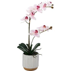 Mikasa Artificial Orchid in Pot, Real Touch Phalaenopsis Orchid, Cream Glaze Ceramic Pot, 16-Inch Single Branch, Fuchsia in Saudi Arabia